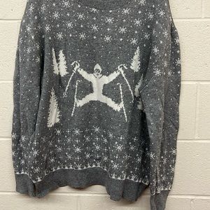 Label of graded goods, skier sweater ⛷️